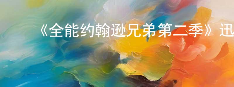 蔡国龙的动漫综艺大全,《全能约翰逊兄弟第二季》迅雷下载/在线观看-都市情感-美剧天堂